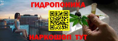 сатива Рязань