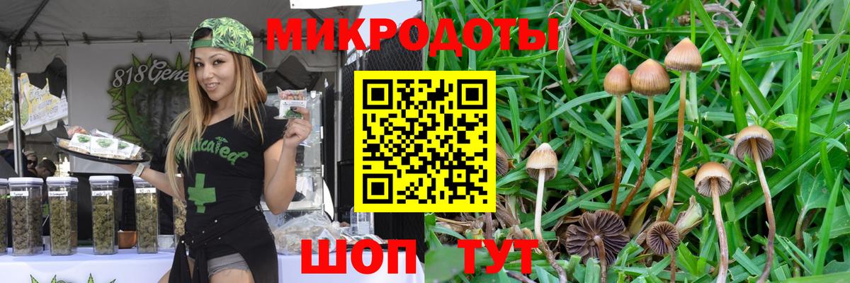Подольск  Псилоцибиновые грибы мухоморы  цены   Вход с VPN 